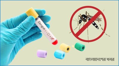 ডেঙ্গুতে আরও ২ জনের মৃত্যু, আক্রান্ত ৯৬৪